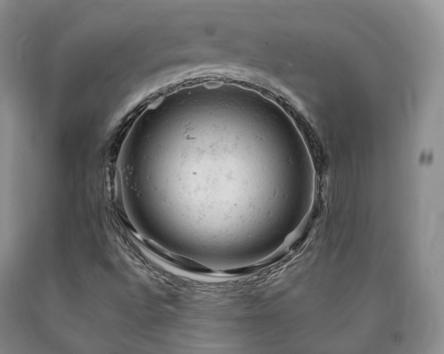 X0000090891496200707271321