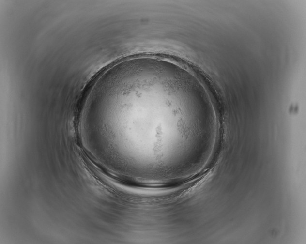 X0000090891497200707271321