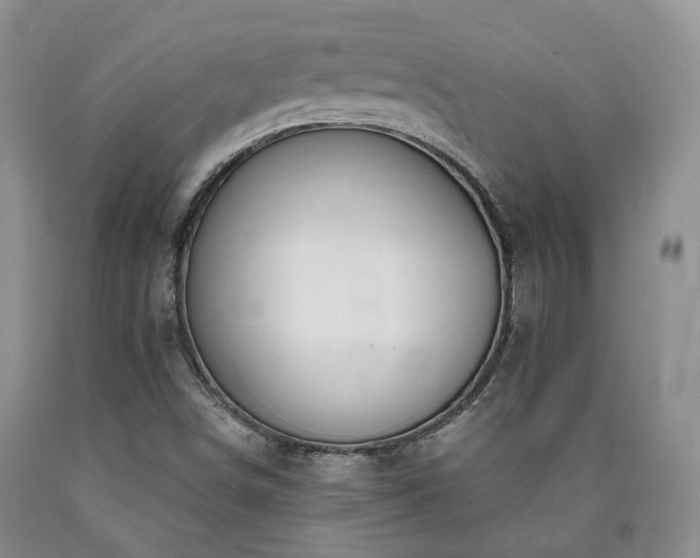 X0000090891498200707271321