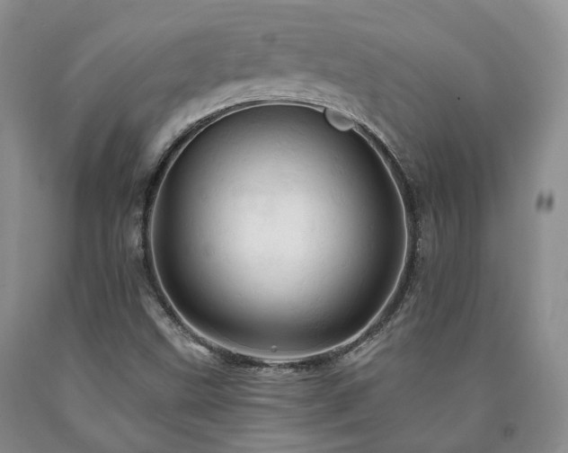 X0000090891499200707271321