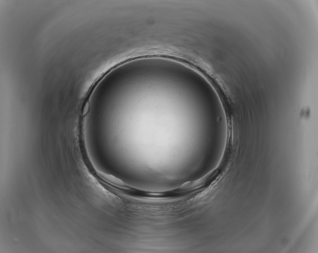 X0000090891500200707271321