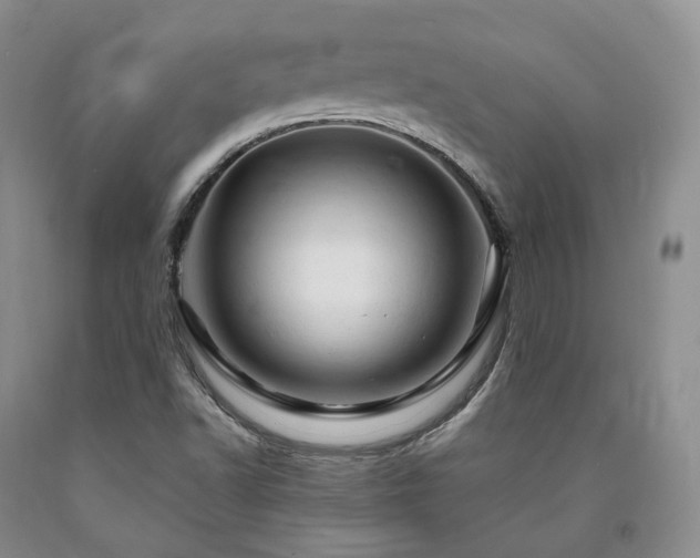 X0000090891502200707271321
