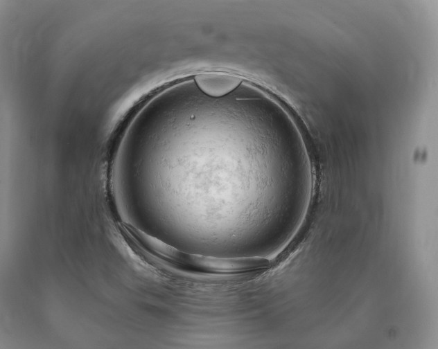 X0000090891503200707271321
