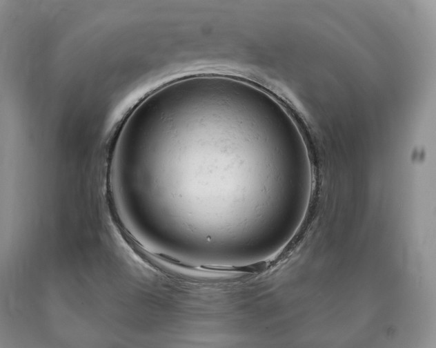 X0000090891504200707271321
