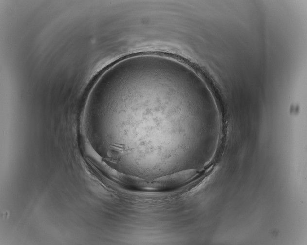 X0000090891505200707271321