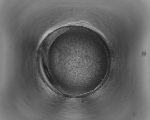 X0000090891506200707271321