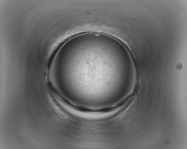 X0000090891507200707271321