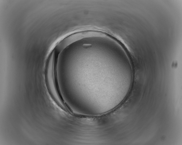X0000090891508200707271321