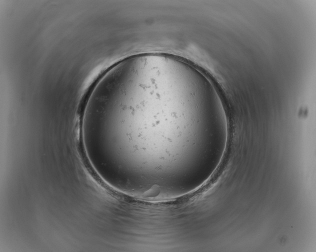 X0000090891509200707271321