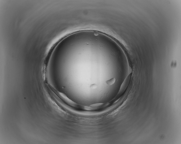 X0000090891510200707271321
