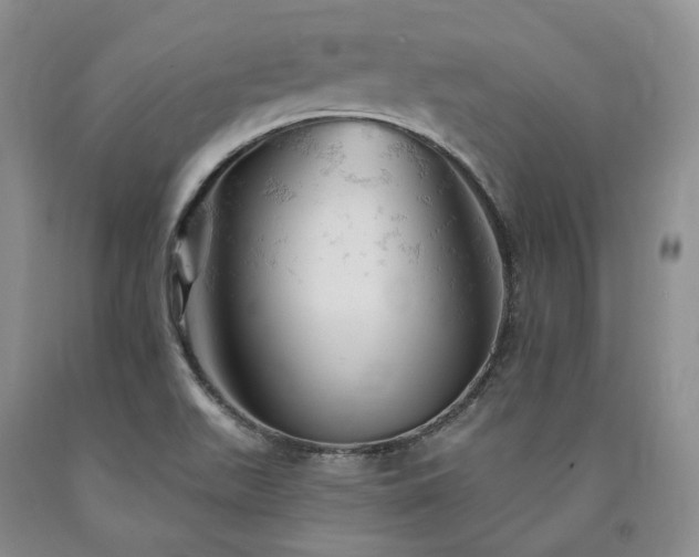 X0000090891511200707271321