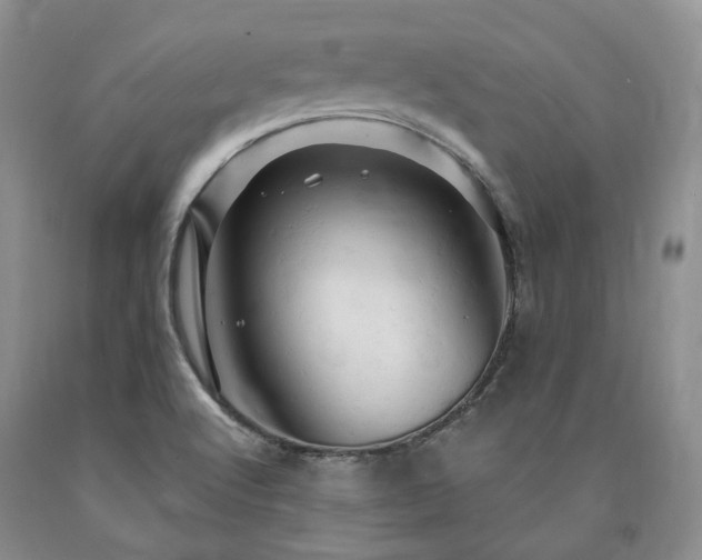 X0000090891512200707271321