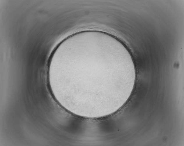 X0000090891514200707271321
