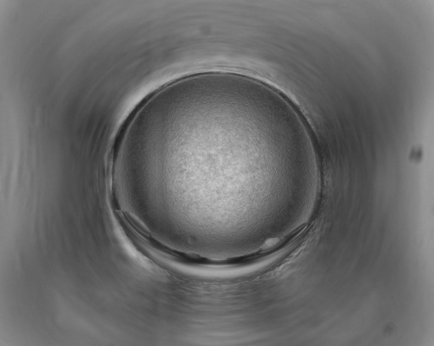 X0000090891515200707271321