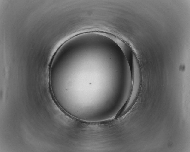 X0000090891516200707271321