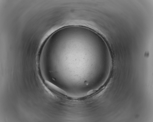 X0000090891517200707271321
