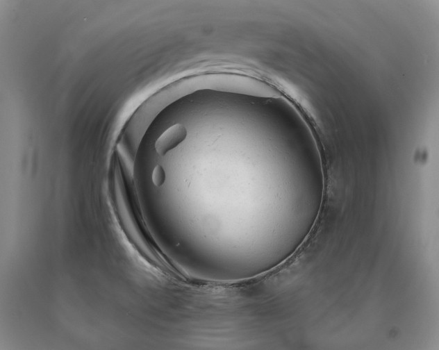 X0000090891520200707271321