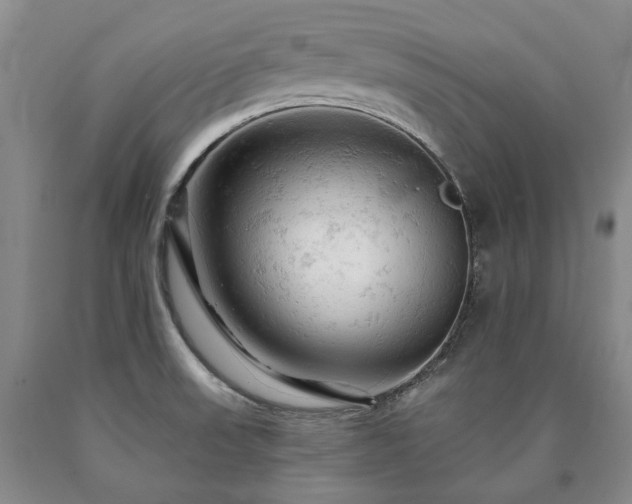 X0000090891523200707271321