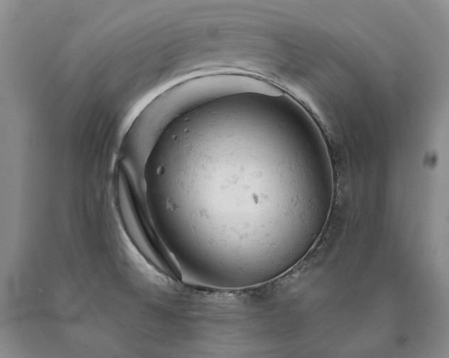 X0000090891524200707271321
