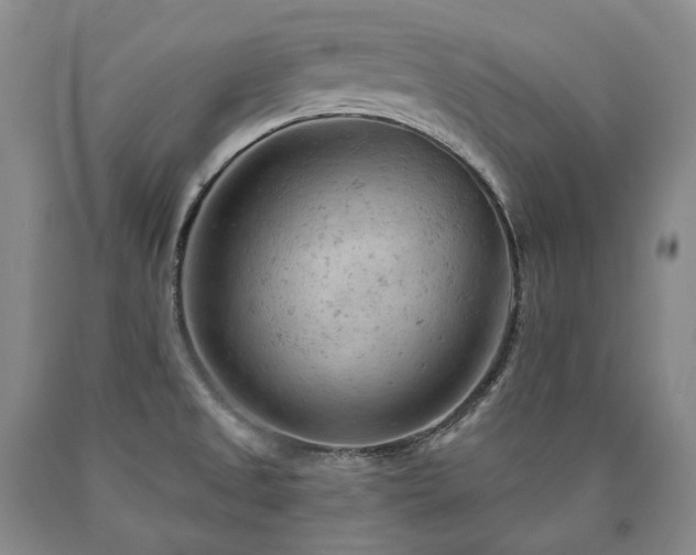 X0000090891525200707271321