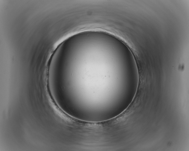 X0000090891526200707271321