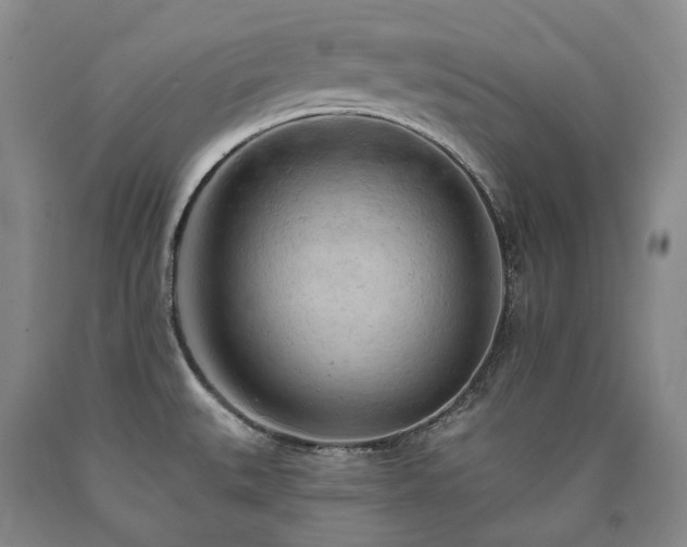 X0000090891527200707271321