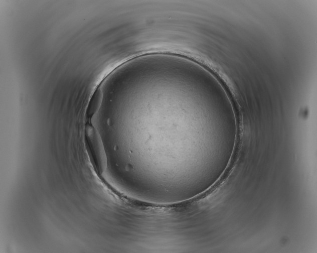 X0000090891529200707271321
