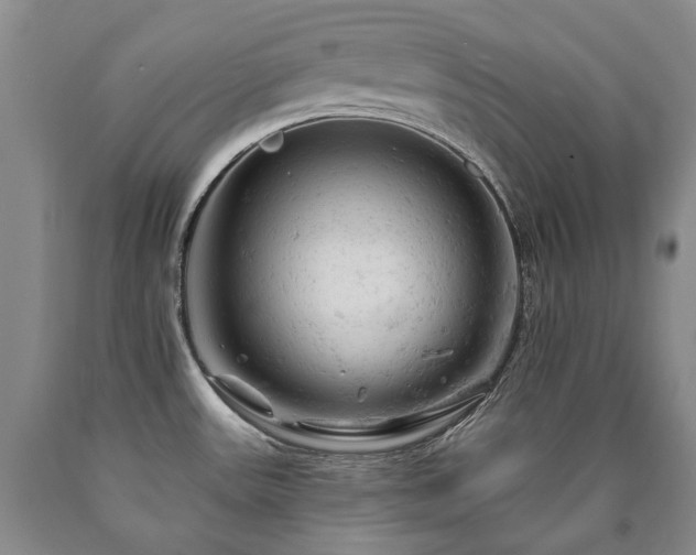 X0000090891531200707271321