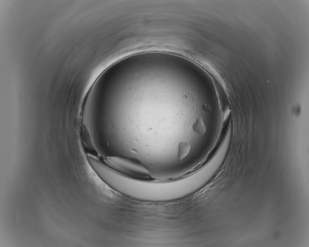 X0000090891532200707271321