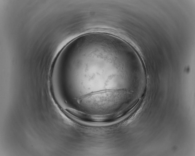 X0000090891533200707271321