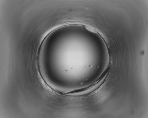 X0000090891534200707271321