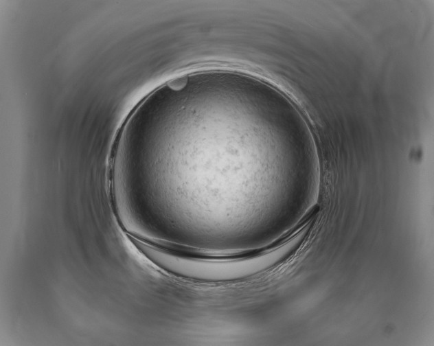 X0000090891535200707271321