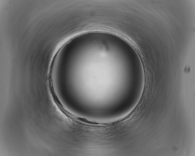 X0000090891536200707271321