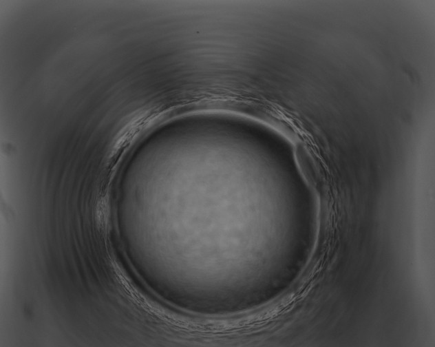 X0000090890002200708031102