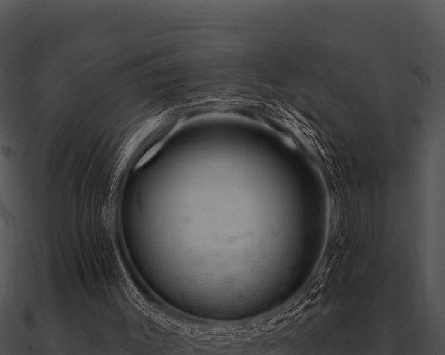 X0000090890003200708031102