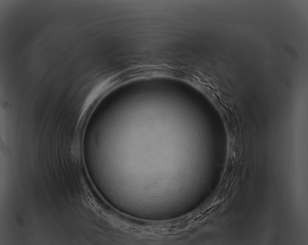 X0000090890004200708031102