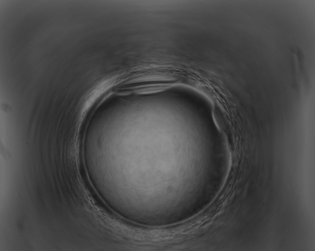 X0000090890006200708031102