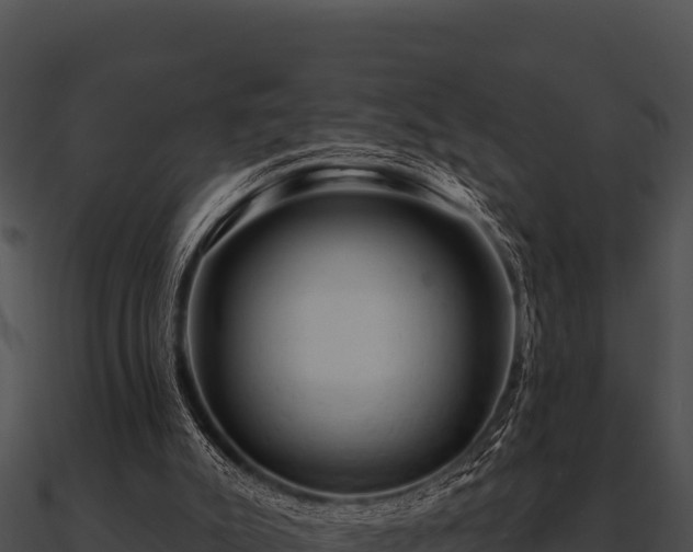 X0000090890007200708031102