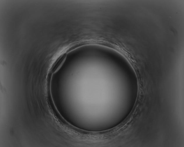 X0000090890008200708031102