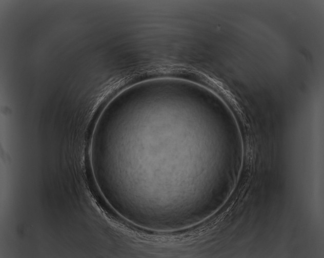 X0000090890010200708031102