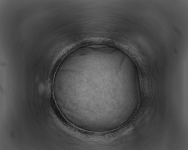 X0000090890016200708031102