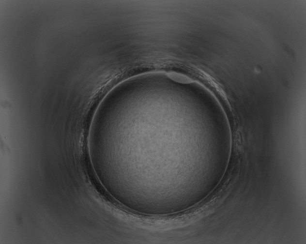 X0000090890018200708031102