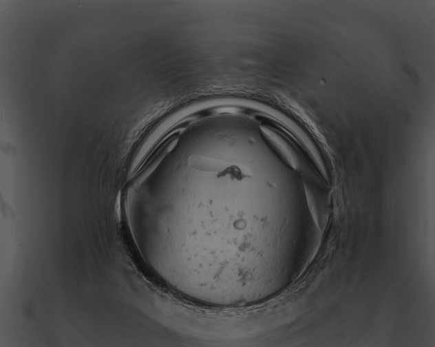 X0000090890019200708031102