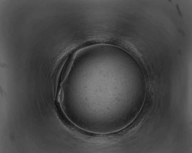 X0000090890020200708031102