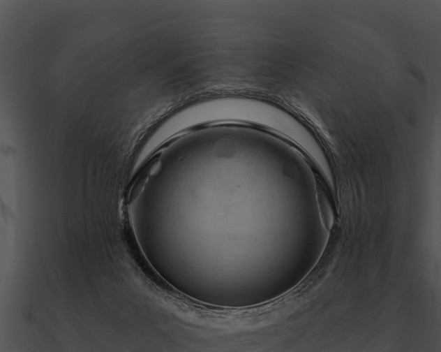 X0000090890023200708031102