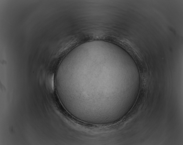 X0000090890028200708031102