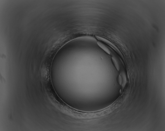 X0000090890031200708031102