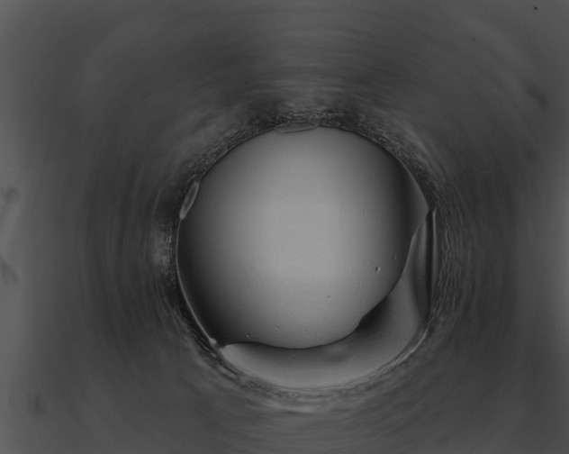 X0000090890033200708031102