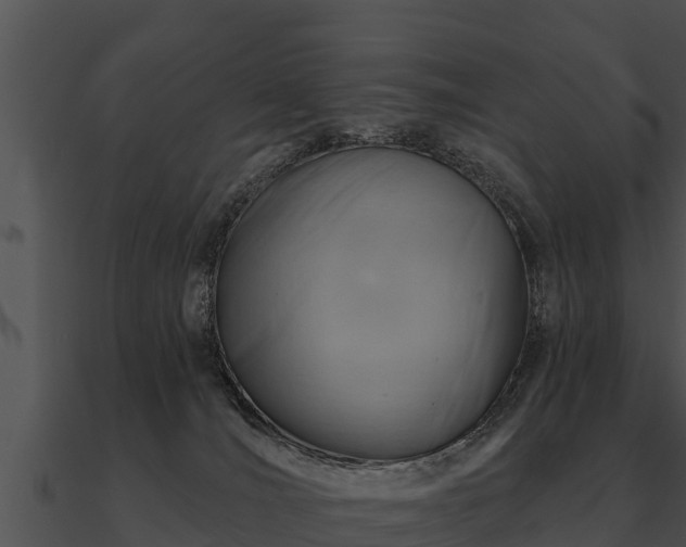 X0000090890036200708031102