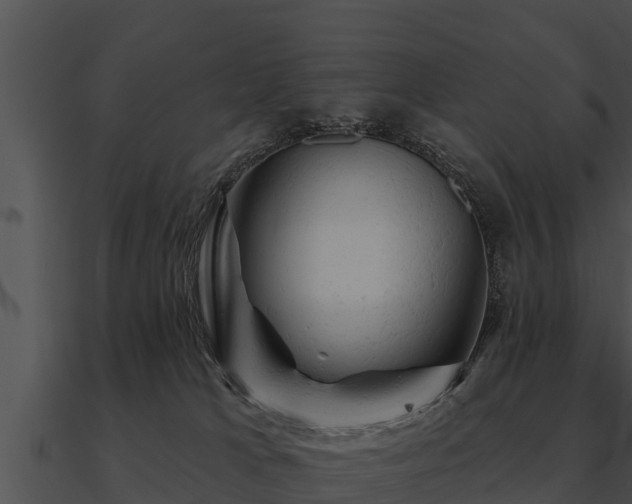 X0000090890037200708031102